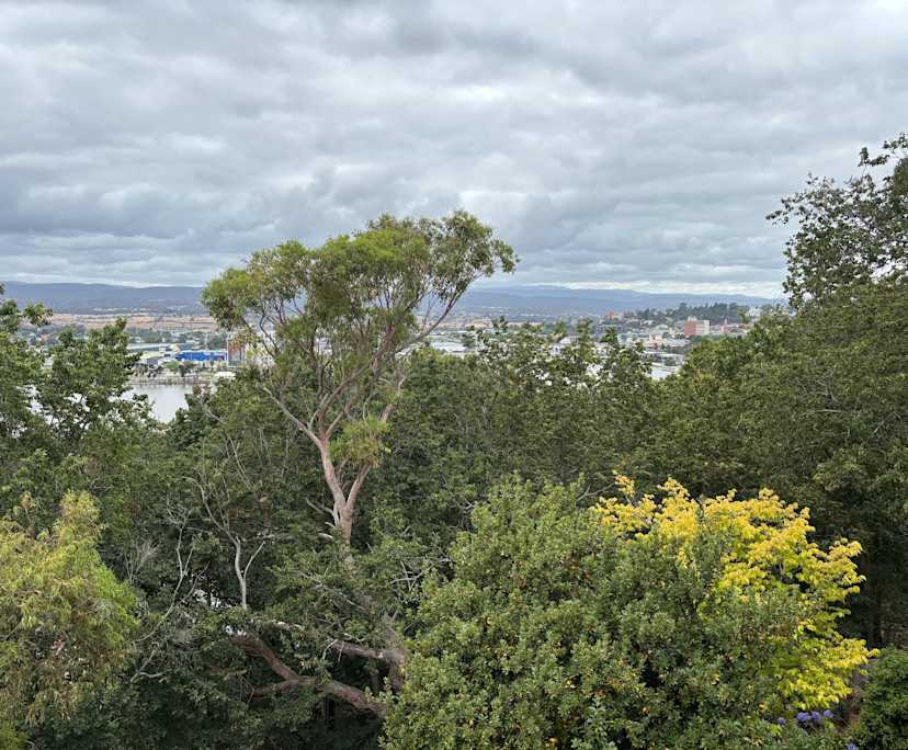 Room in a share house