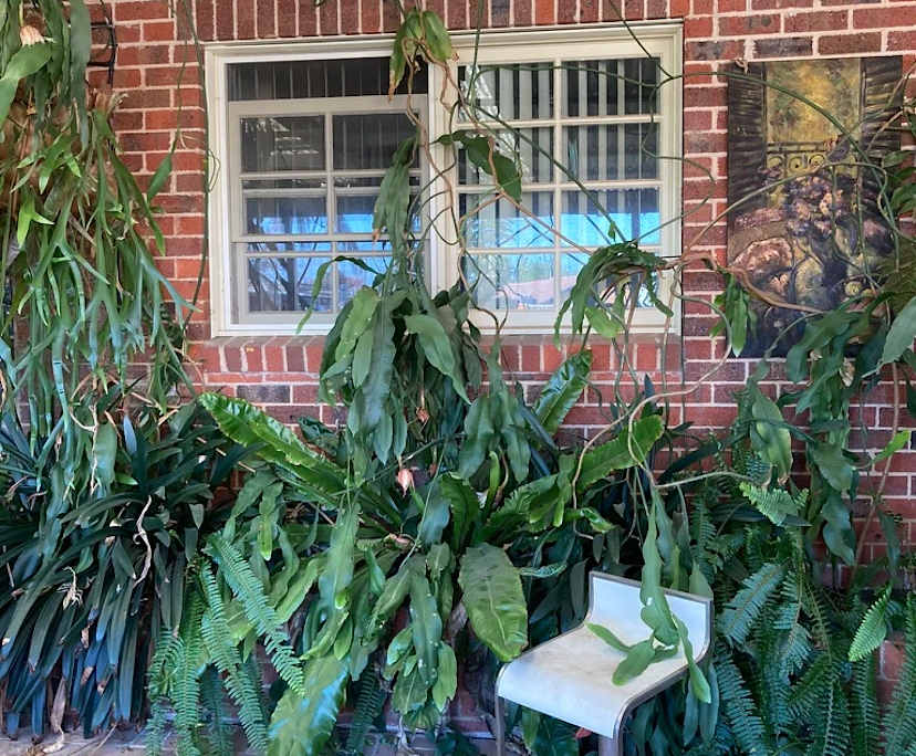 $275, Share-house, 3 bathrooms, Lavington NSW 2641