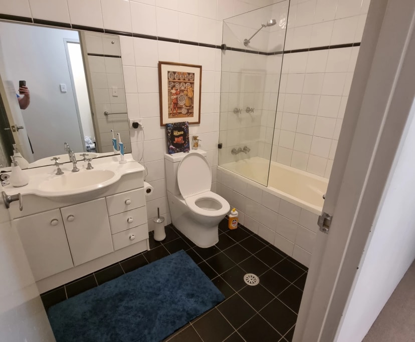 $400, Flatshare, 2 bathrooms, Chippendale NSW 2008