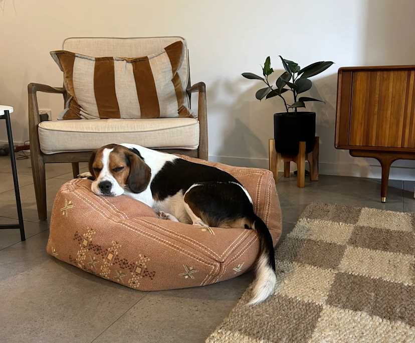 $300, Share-house, 3 bathrooms, Robina QLD 4226