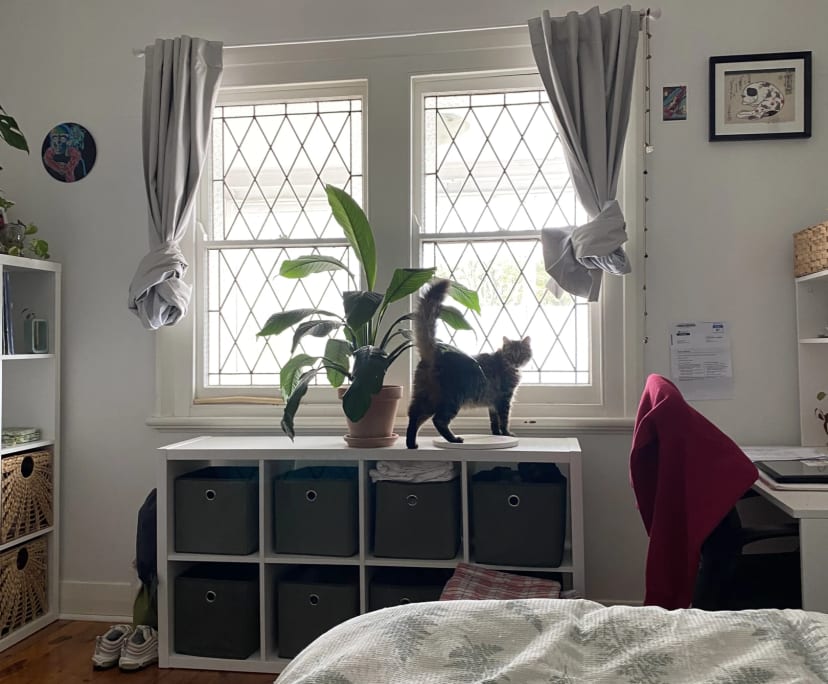 Furnished room in a share house