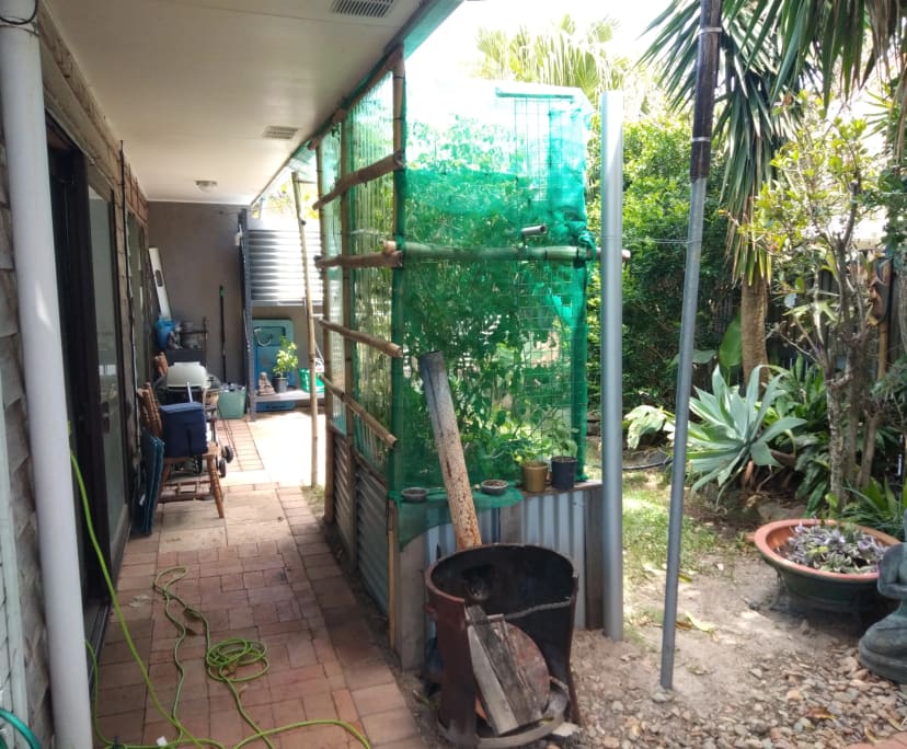$315, Flatshare, 2 bathrooms, Sunrise Beach QLD 4567