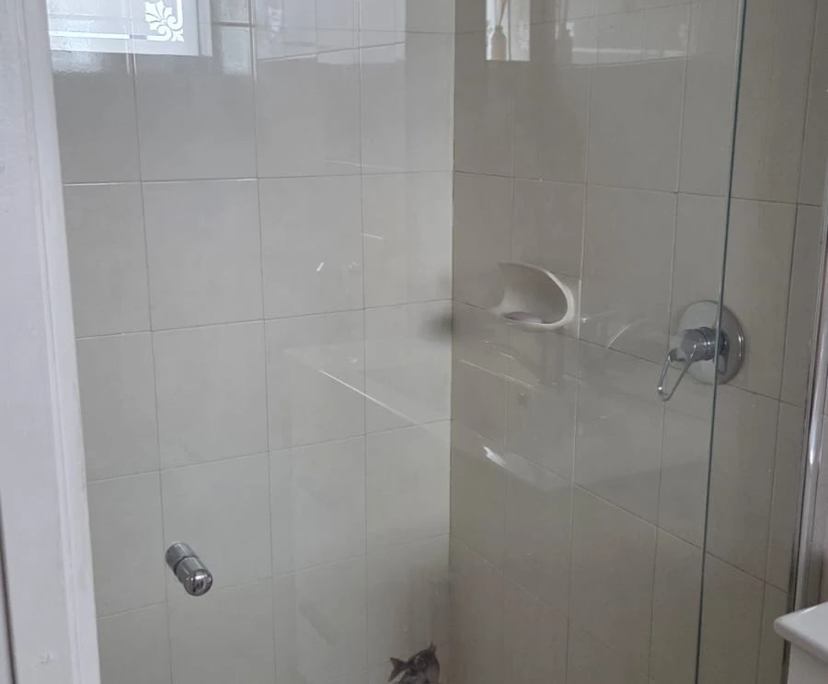 $315, Share-house, 4 bathrooms, Echuca VIC 3564