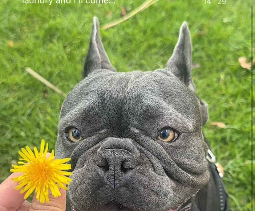 $363, Share-house, 4 bathrooms, Hawthorn VIC 3122