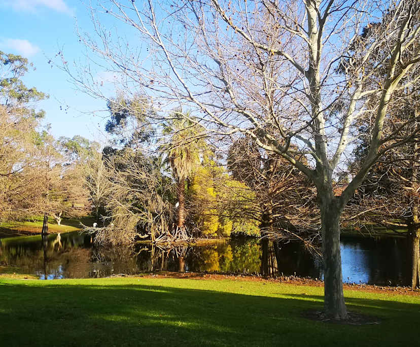 $330, Share-house, 4 bathrooms, Bentley WA 6102