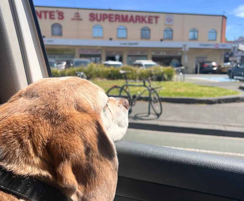 $350, Share-house, 2 bathrooms, Fitzroy North VIC 3068