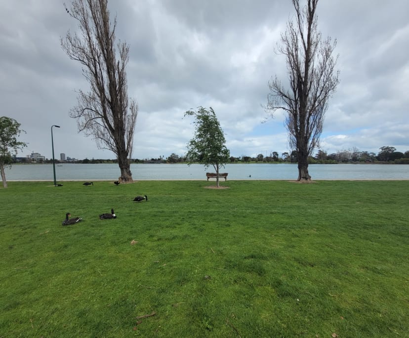 $350-450, Flatshare, 2 rooms, Melbourne VIC 3004, Melbourne VIC 3004