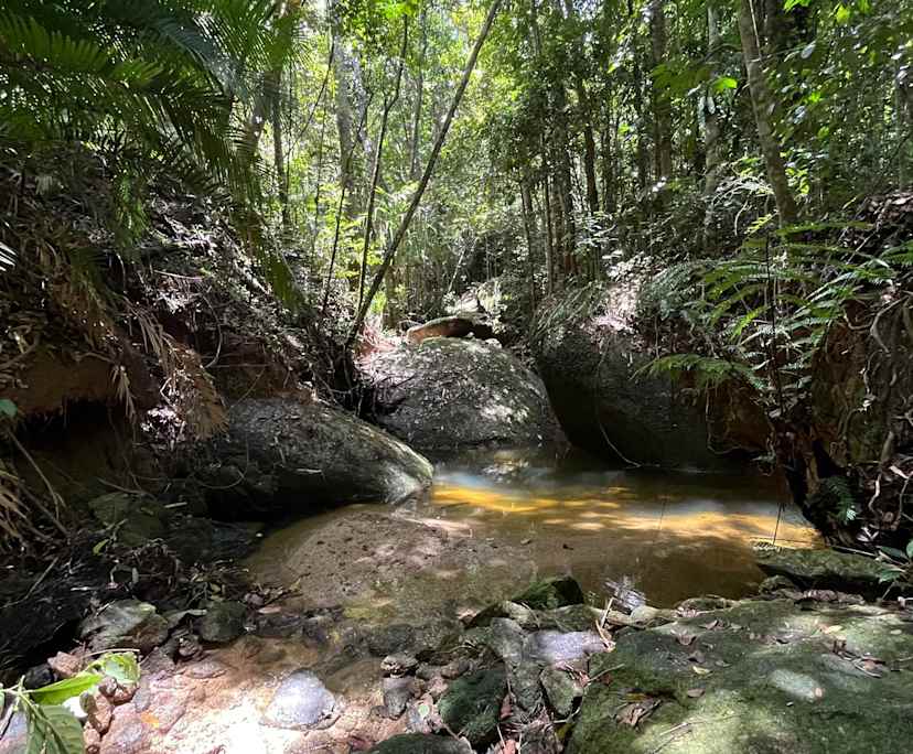 $980, Whole-property, 4 bathrooms, Fishery Falls QLD 4871