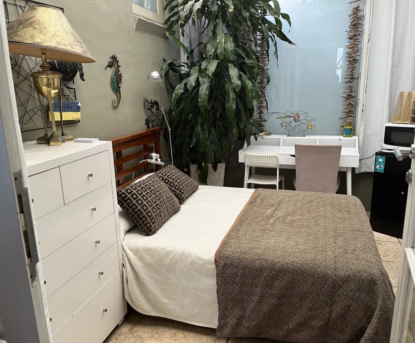 $449, Share-house, 3 bathrooms, Randwick NSW 2031