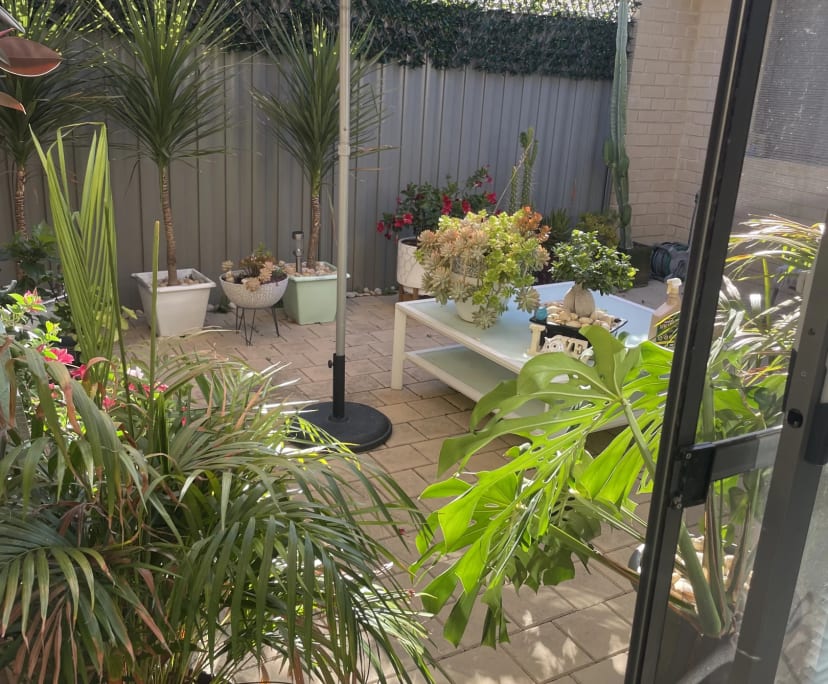 $250, Share-house, 3 bathrooms, Alkimos WA 6038