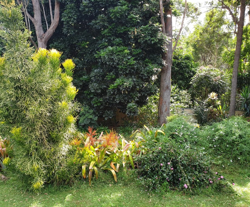 $240, Share-house, 3 bathrooms, Goonellabah NSW 2480