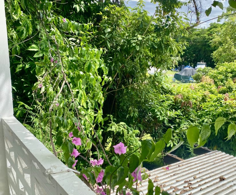 $500, Studio, 1 bathroom, Yorkeys Knob QLD 4878