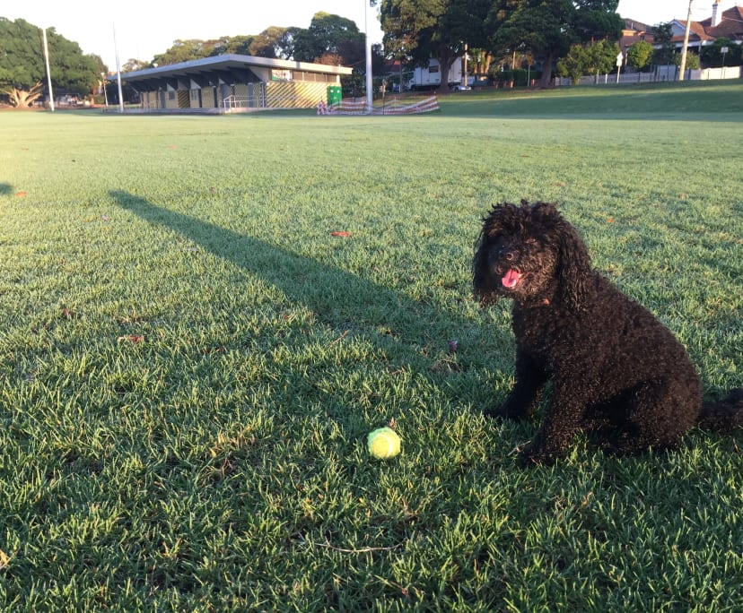 $340, Share-house, 3 bathrooms, Croydon Park NSW 2133