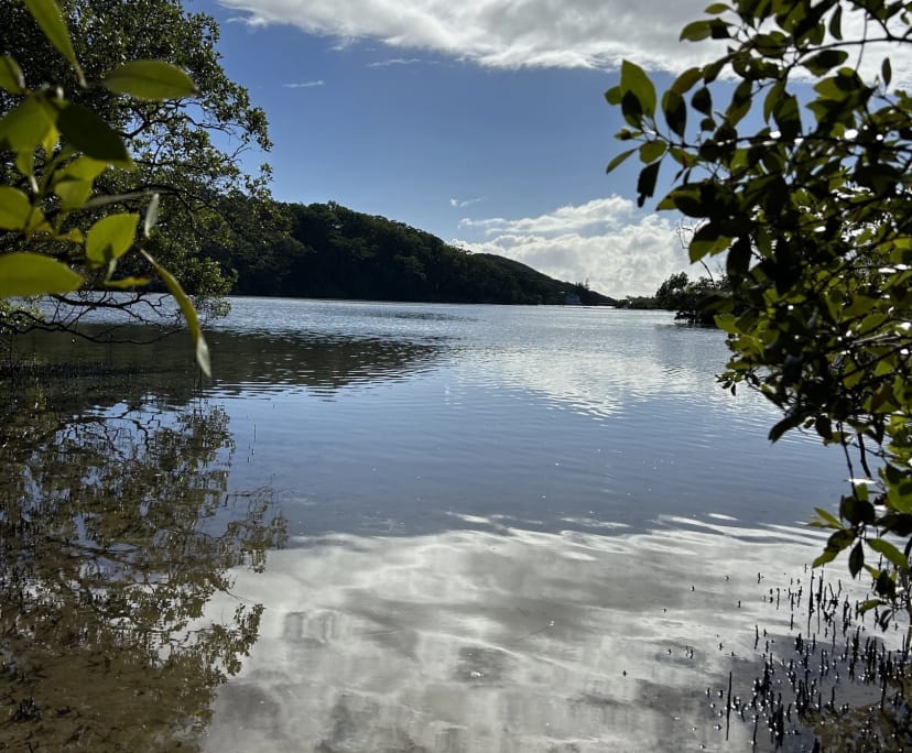 Studio for Rent in Mullumbimby, NSW 350, Furnishe...