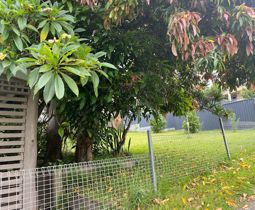 $280, Share-house, 3 bathrooms, Burleigh Heads QLD 4220