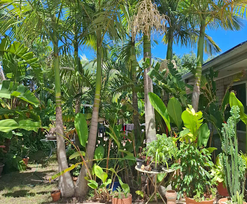 $350, Share-house, 4 bathrooms, Tallai QLD 4213