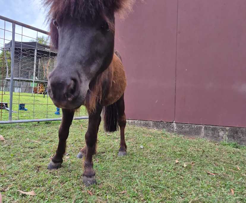 Room with ensuite in a flatshare