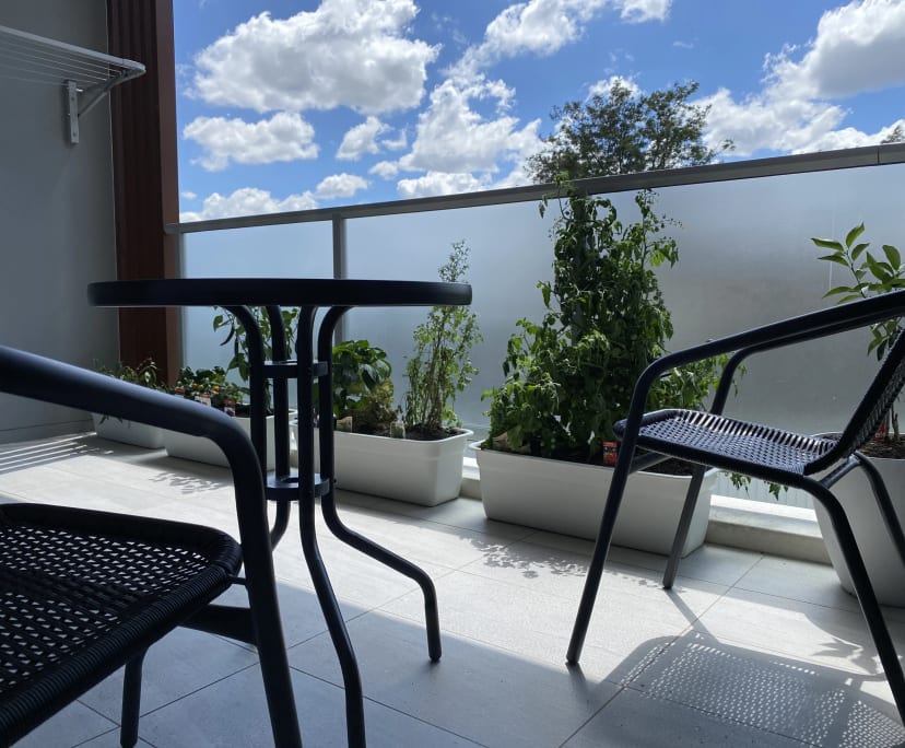 $380, Student-accommodation, 2 bathrooms, Westmead NSW 2145