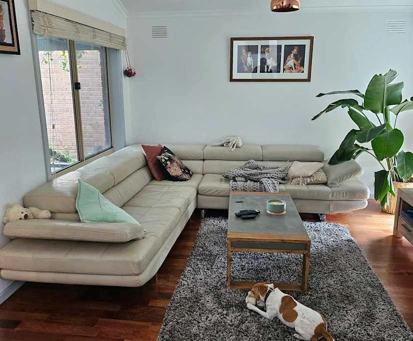 Room in a share house