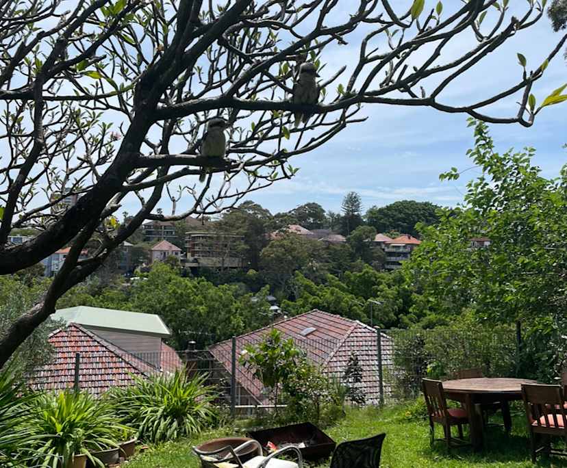 $425, Flatshare, 3 bathrooms, Clovelly NSW 2031
