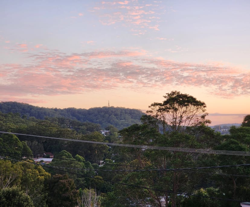 Whole property with 3 rooms for rent