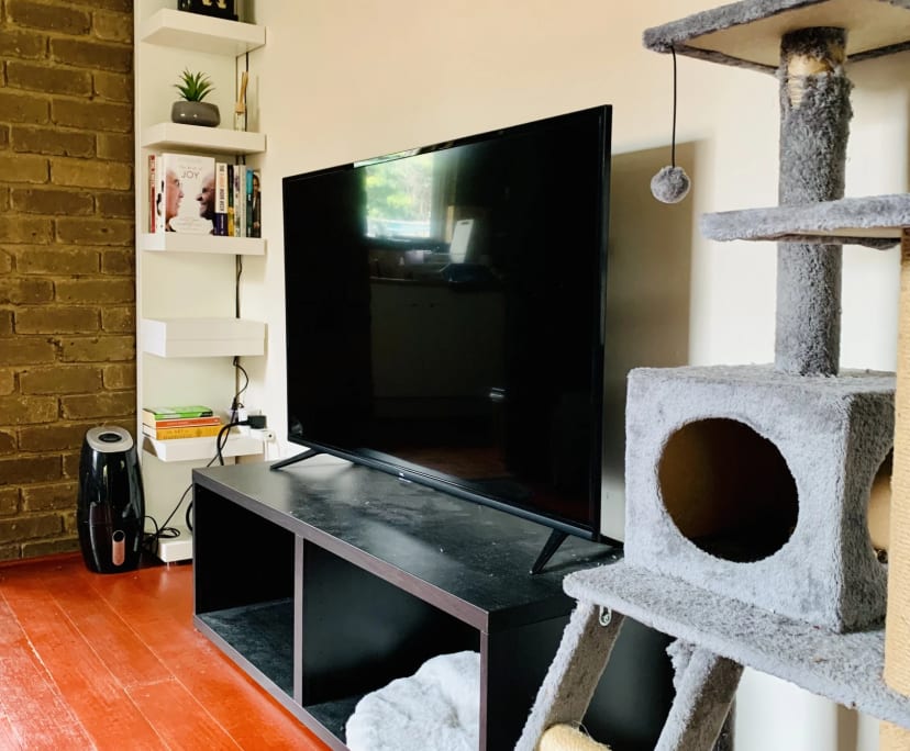 $260, Flatshare, 2 bathrooms, Box Hill VIC 3128