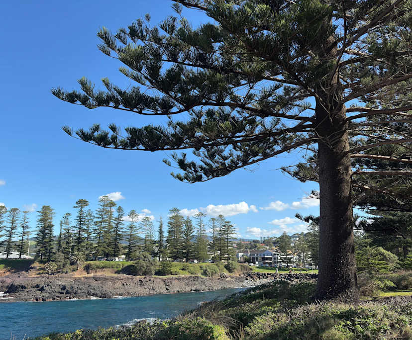 $250, Share-house, 4 bathrooms, Kiama NSW 2533