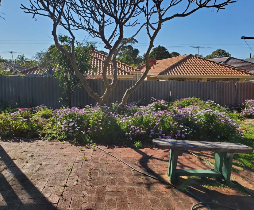 $265, Share-house, 4 bathrooms, Kardinya WA 6163