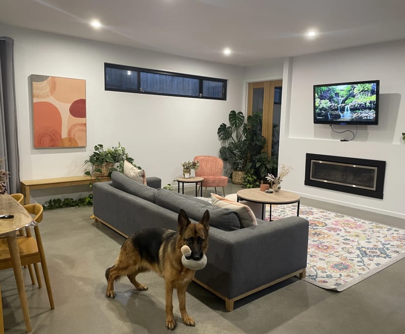 Room in a share house