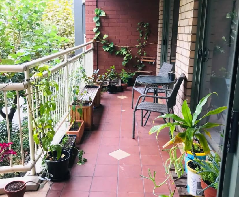 $280, Share-house, 2 bathrooms, Redfern NSW 2016