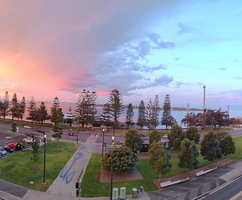 $310, Flatshare, 2 rooms, Newcastle NSW 2300, Newcastle NSW 2300