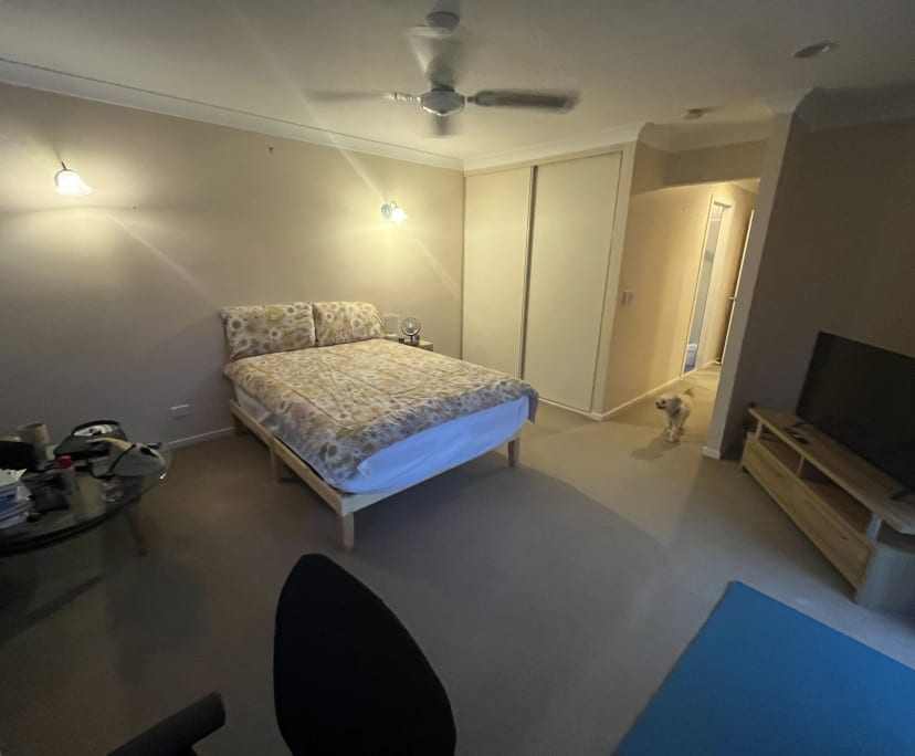 $300, Student-accommodation, 4 bathrooms, Robina QLD 4226