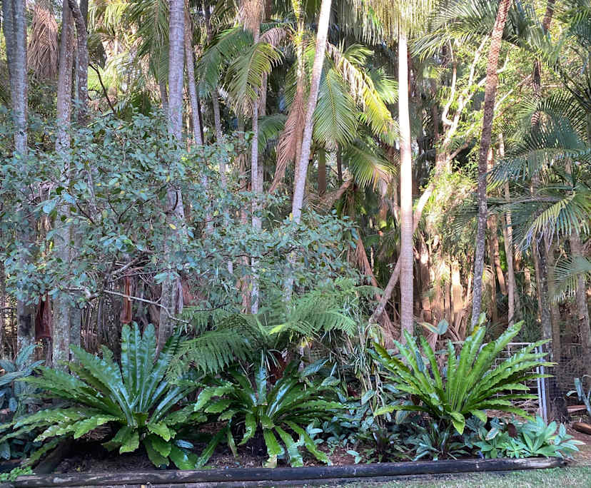 $320, Share-house, 4 bathrooms, Port Macquarie NSW 2444