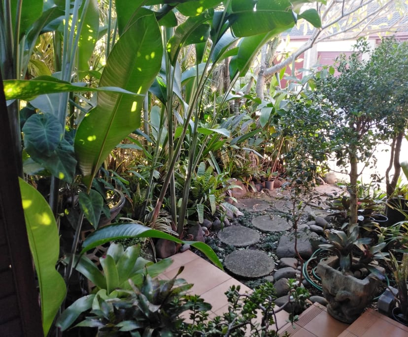 $250, Flatshare, 3 bathrooms, Lennox Head NSW 2478