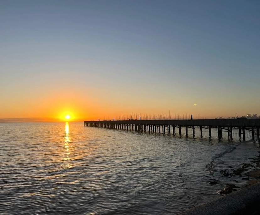 $365, Flatshare, 2 bathrooms, Elwood VIC 3184