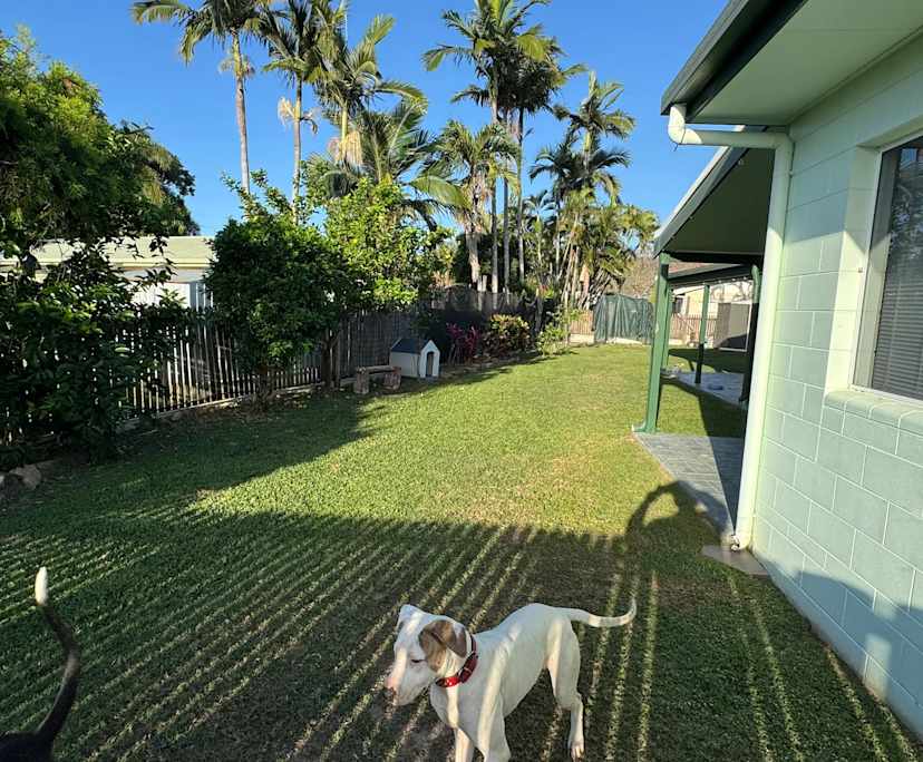 $300, Share-house, 4 bathrooms, Condon QLD 4815