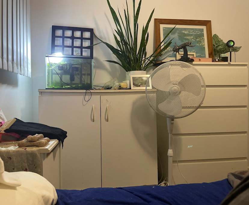 $250, Share-house, 3 bathrooms, Lawnton QLD 4501