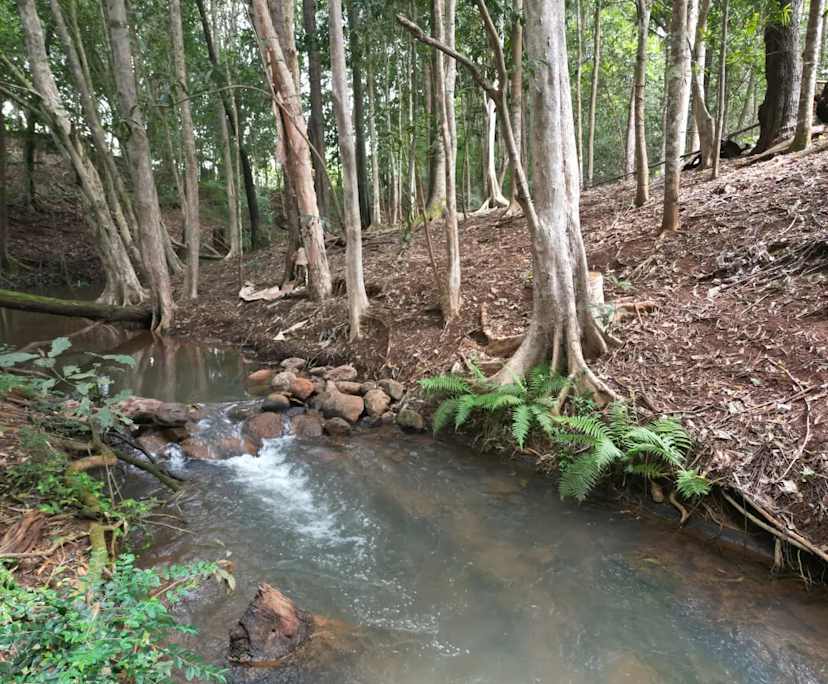 $230, Share-house, 5 rooms, Malanda QLD 4885, Malanda QLD 4885