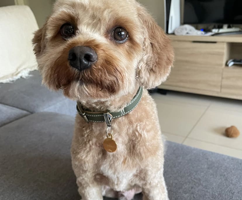 $280, Share-house, 3 bathrooms, Muirhead NT 0810