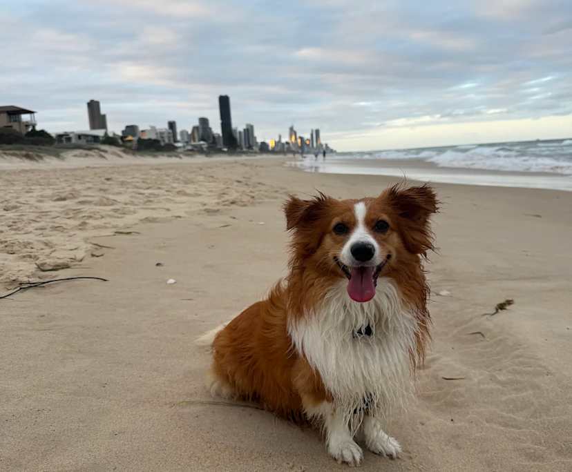 $350, Share-house, 3 bathrooms, Mermaid Beach QLD 4218