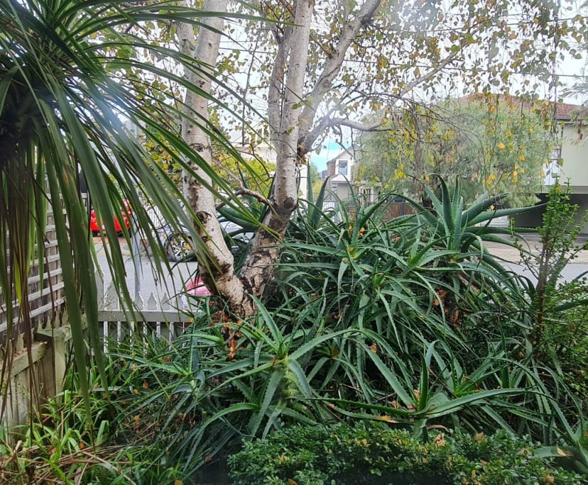 $350, Share-house, 3 bathrooms, St Kilda VIC 3182