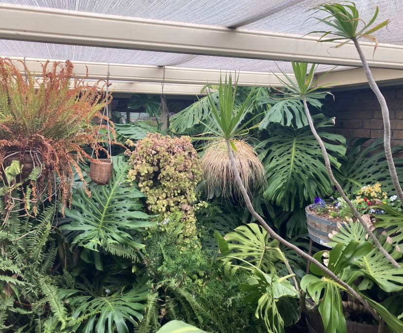 $200, Share-house, 4 bathrooms, Aldinga Beach SA 5173