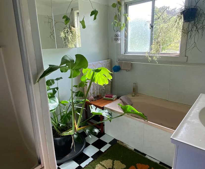 $230, Share-house, 4 bathrooms, Howards Grass NSW 2480