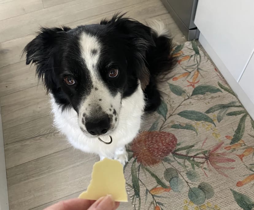 $310, Share-house, 3 bathrooms, Killarney Vale NSW 2261