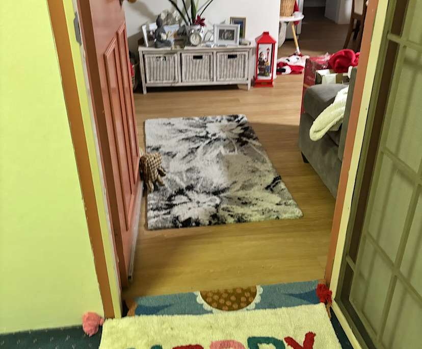 $380, Flatshare, 3 bathrooms, Chatswood NSW 2067