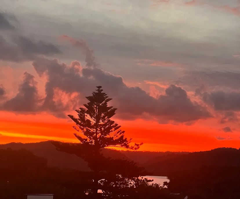 $530, Flatshare, 2 bathrooms, Narrabeen NSW 2101