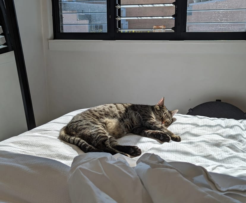 $550, Flatshare, 2 bathrooms, Waterloo NSW 2017