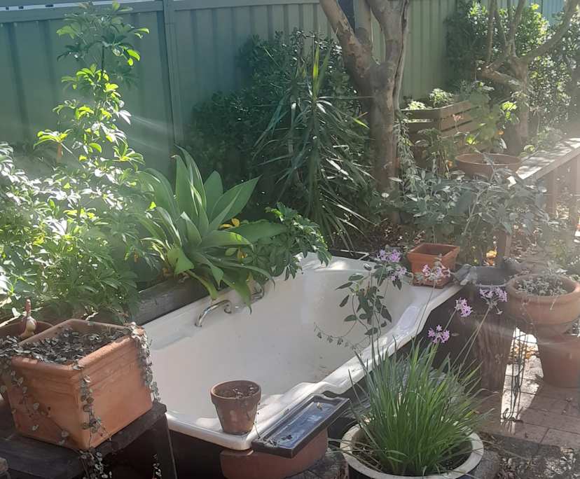 $350, Share-house, 3 bathrooms, Hamilton South NSW 2303