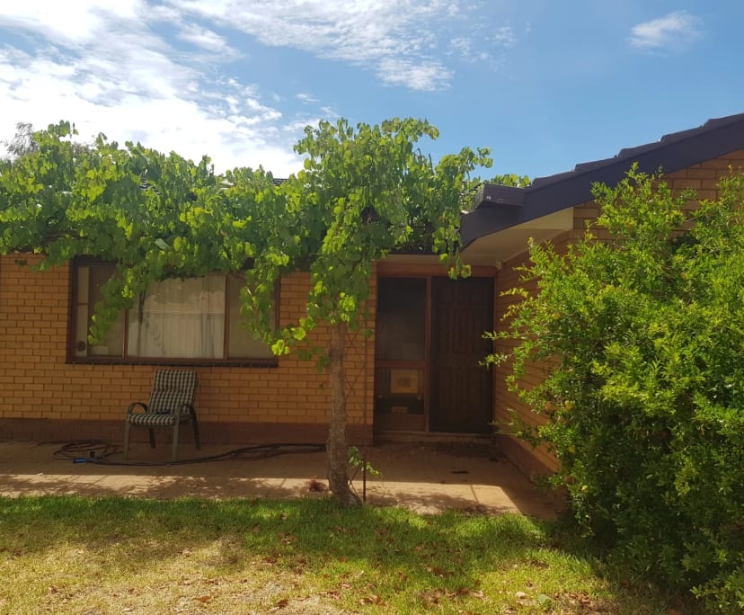 Room for Rent in Merbein, VIC 170, Furnished, Sha...