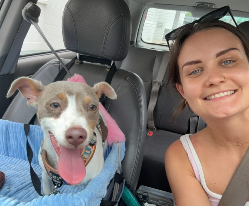 $350, Flatshare, 3 bathrooms, West End QLD 4101